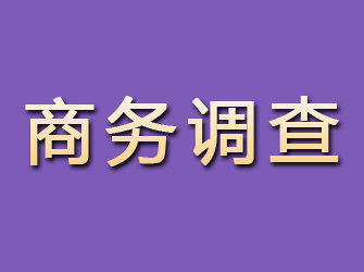 岳池商务调查